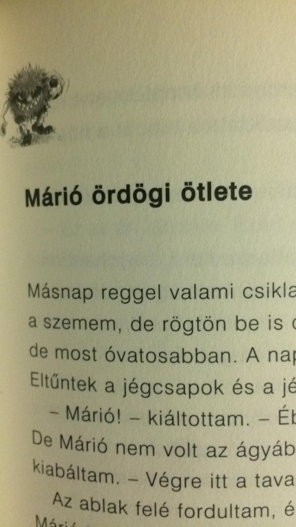 Érintetlen könyv. Szerző: Joachim Masannek, Jan Birck rajzaival, Fabula kiadó.133 oldal, keménykötés. 1.kötet: a Vad banda tagjai egymásra találnak és felkészülnek az első focimeccsükre… Megtekinthető és átvehető személyesen Budapest Újlipótvárosban, Westend-Nyugati pályaudvar környékén. - 3